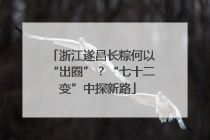浙江遂昌长粽何以“出圈”？“七十二变”中探新路