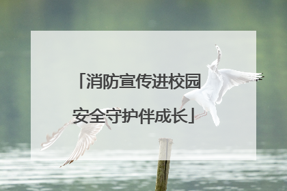 消防宣传进校园 安全守护伴成长