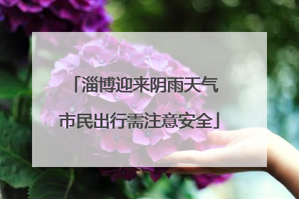 淄博迎来阴雨天气 市民出行需注意安全