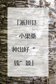 淅川县：小果桑种出好“钱”景