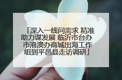 深入一线问需求 精准助力谋发展 临沂市台办 市港澳办商城出海工作组到平邑县走访调研