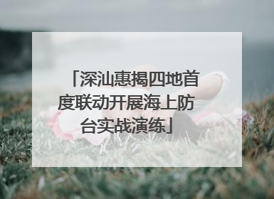 深汕惠揭四地首度联动开展海上防台实战演练