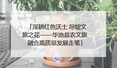 深耕红色沃土 尽绽文旅之花——华池县农文旅融合高质量发展走笔