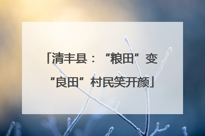 清丰县：“粮田”变“良田”村民笑开颜