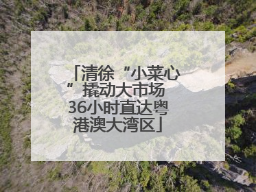 清徐“小菜心”撬动大市场 36小时直达粤港澳大湾区