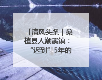 清风头条｜桑植县人潮溪镇：“迟到”5年的生态林补偿金