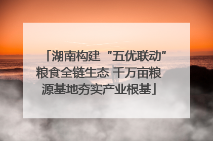 湖南构建“五优联动”粮食全链生态 千万亩粮源基地夯实产业根基