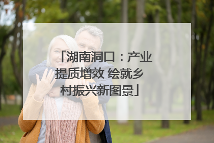 湖南洞口：产业提质增效 绘就乡村振兴新图景