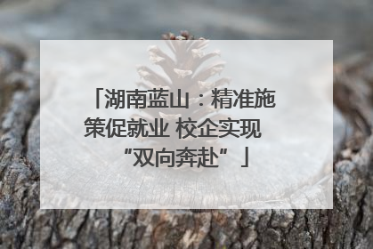 湖南蓝山：精准施策促就业 校企实现“双向奔赴”