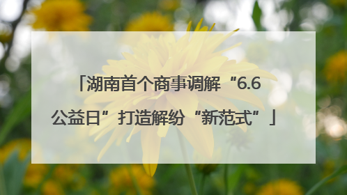 湖南首个商事调解“6.6 公益日”打造解纷“新范式”