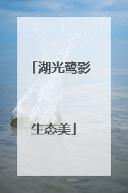 湖光鹭影生态美