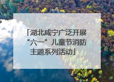 湖北咸宁广泛开展“六一”儿童节消防主题系列活动