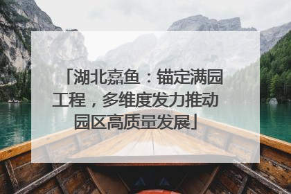 湖北嘉鱼：锚定满园工程，多维度发力推动园区高质量发展