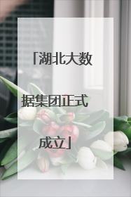 湖北大数据集团正式成立
