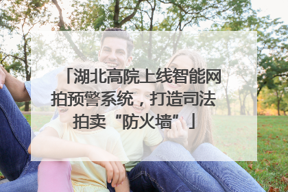 湖北高院上线智能网拍预警系统，打造司法拍卖“防火墙”