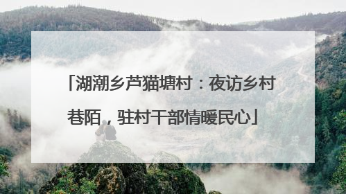 湖潮乡芦猫塘村：夜访乡村巷陌，驻村干部情暖民心