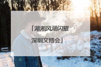 湖湘风潮闪耀深圳文博会