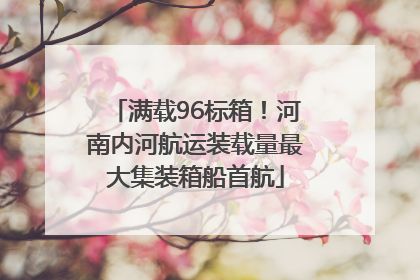 满载96标箱！河南内河航运装载量最大集装箱船首航