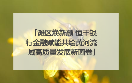 滩区焕新颜 恒丰银行金融赋能共绘黄河流域高质量发展新画卷