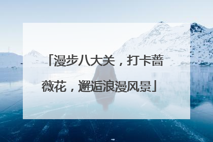 漫步八大关，打卡蔷薇花，邂逅浪漫风景