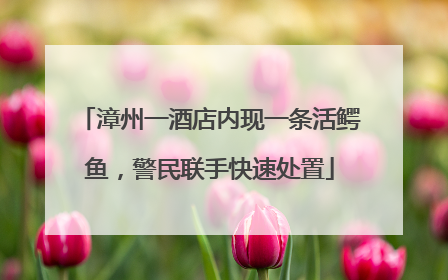 漳州一酒店内现一条活鳄鱼，警民联手快速处置