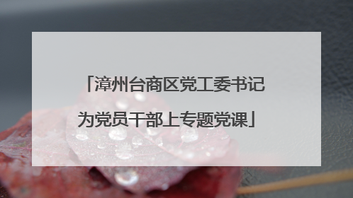 漳州台商区党工委书记为党员干部上专题党课