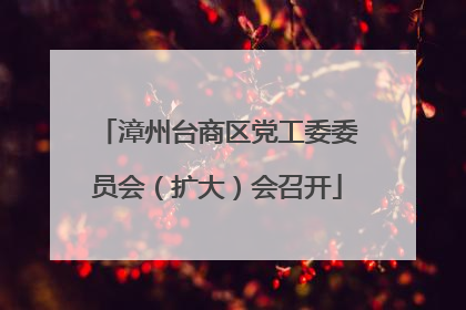 漳州台商区党工委委员会（扩大）会召开
