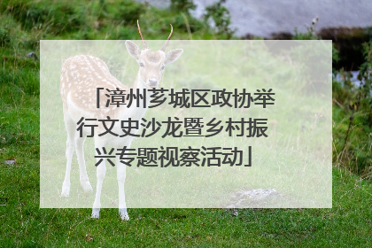 漳州芗城区政协举行文史沙龙暨乡村振兴专题视察活动