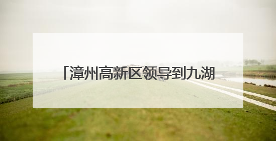 漳州高新区领导到九湖镇调研基层党建工作