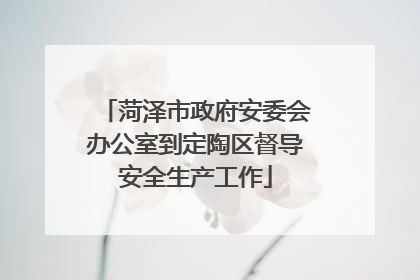 菏泽市政府安委会办公室到定陶区督导安全生产工作