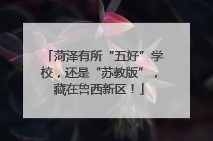 菏泽有所“五好”学校，还是“苏教版”，藏在鲁西新区！