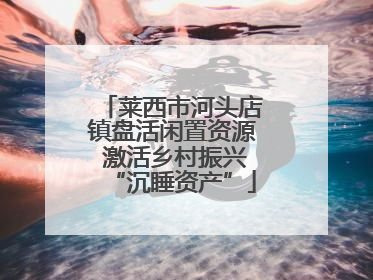 莱西市河头店镇盘活闲置资源 激活乡村振兴“沉睡资产”