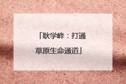 耿学峰：打通草原生命通道