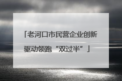 老河口市民营企业创新驱动领跑“双过半”