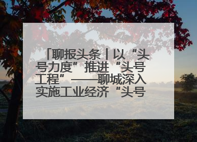 聊报头条丨以“头号力度”推进“头号工程”——聊城深入实施工业经济“头号工程”打造经济发展强引擎
