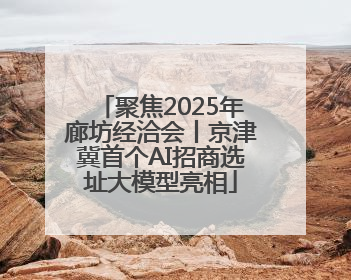 聚焦2025年廊坊经洽会丨京津冀首个AI招商选址大模型亮相