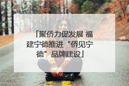聚侨力促发展 福建宁德推进“侨见宁德”品牌建设