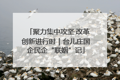 聚力集中攻坚·改革创新进行时｜台儿庄国企民企“联姻”记