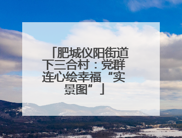 肥城仪阳街道下三合村：党群连心绘幸福“实景图”