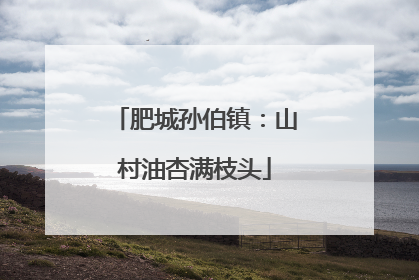 肥城孙伯镇：山村油杏满枝头