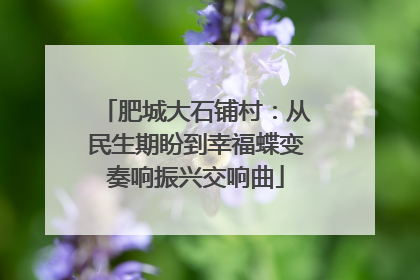 肥城大石铺村：从民生期盼到幸福蝶变奏响振兴交响曲