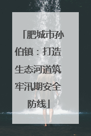 肥城市孙伯镇：打造生态河道筑牢汛期安全防线