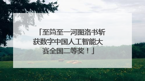 至简至一河图洛书斩获数字中国人工智能大赛全国二等奖！