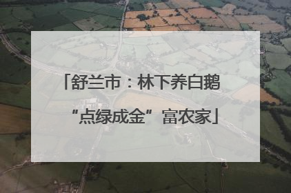 舒兰市：林下养白鹅 “点绿成金”富农家