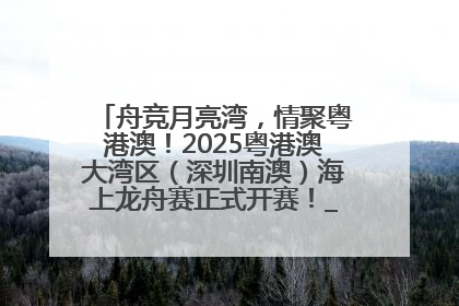 舟竞月亮湾，情聚粤港澳！2025粤港澳大湾区（深圳南澳）海上龙舟赛正式开赛！_深圳新闻网