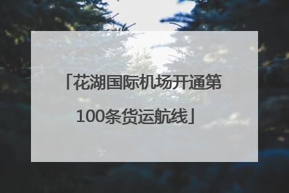 花湖国际机场开通第100条货运航线