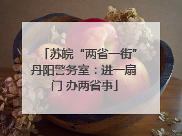 苏皖“两省一街”丹阳警务室：进一扇门 办两省事