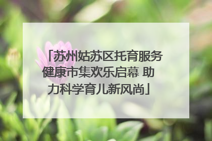 苏州姑苏区托育服务健康市集欢乐启幕 助力科学育儿新风尚