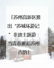 苏州高新区推出“苏城环游记”非遗主题游：当青春邂逅苏州古韵