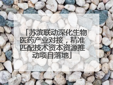 苏滨联动深化生物医药产业对接，精准匹配技术资本资源推动项目落地